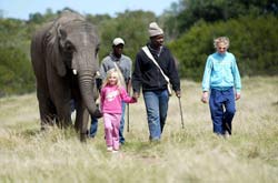 Elephant Sanctuary