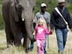 Walking with elephants